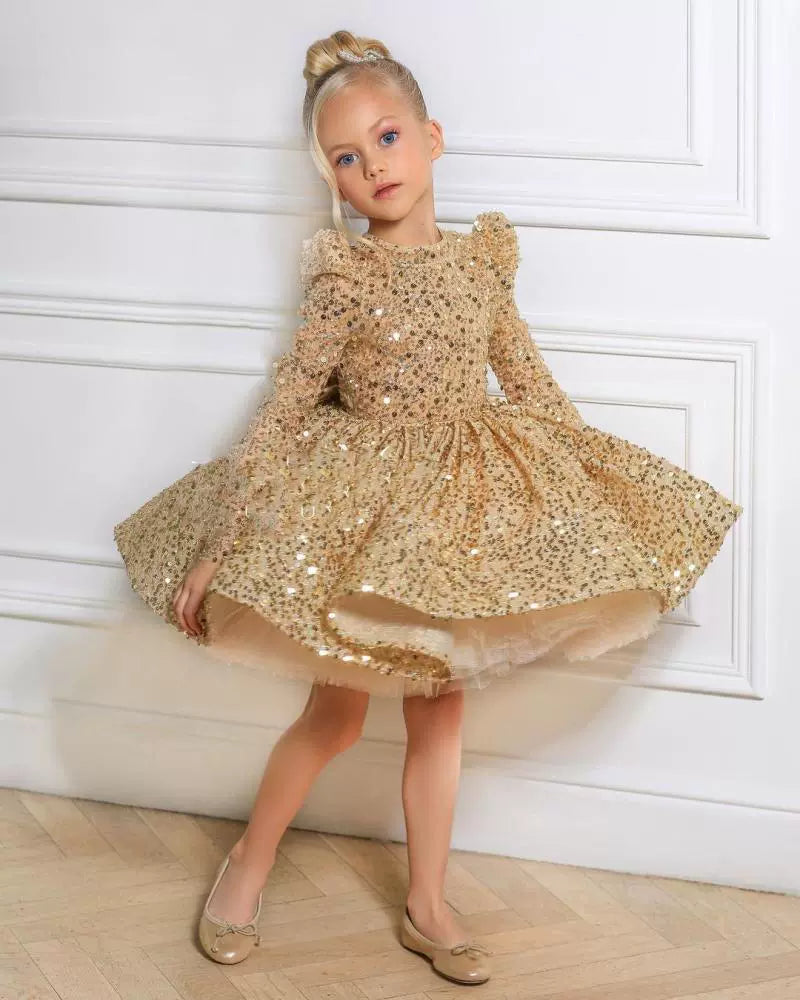 Shiny Sequin Party Dress