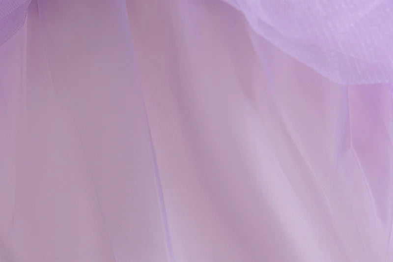 Vestido infantil de la Princesa Sofía