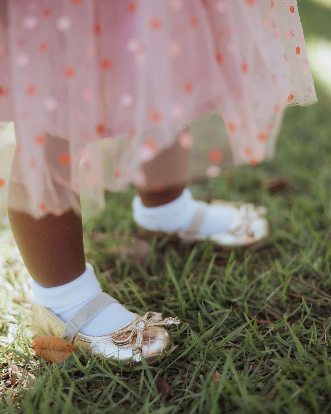 Vestido de princesa mariposa 