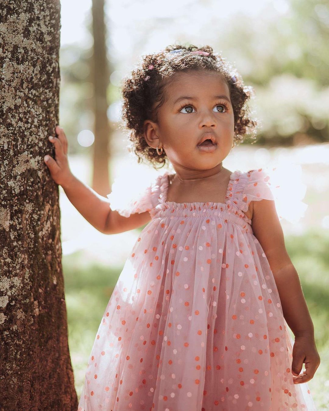 Vestido de princesa mariposa 