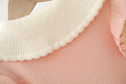 Teddy Bear Collar Knit Dress