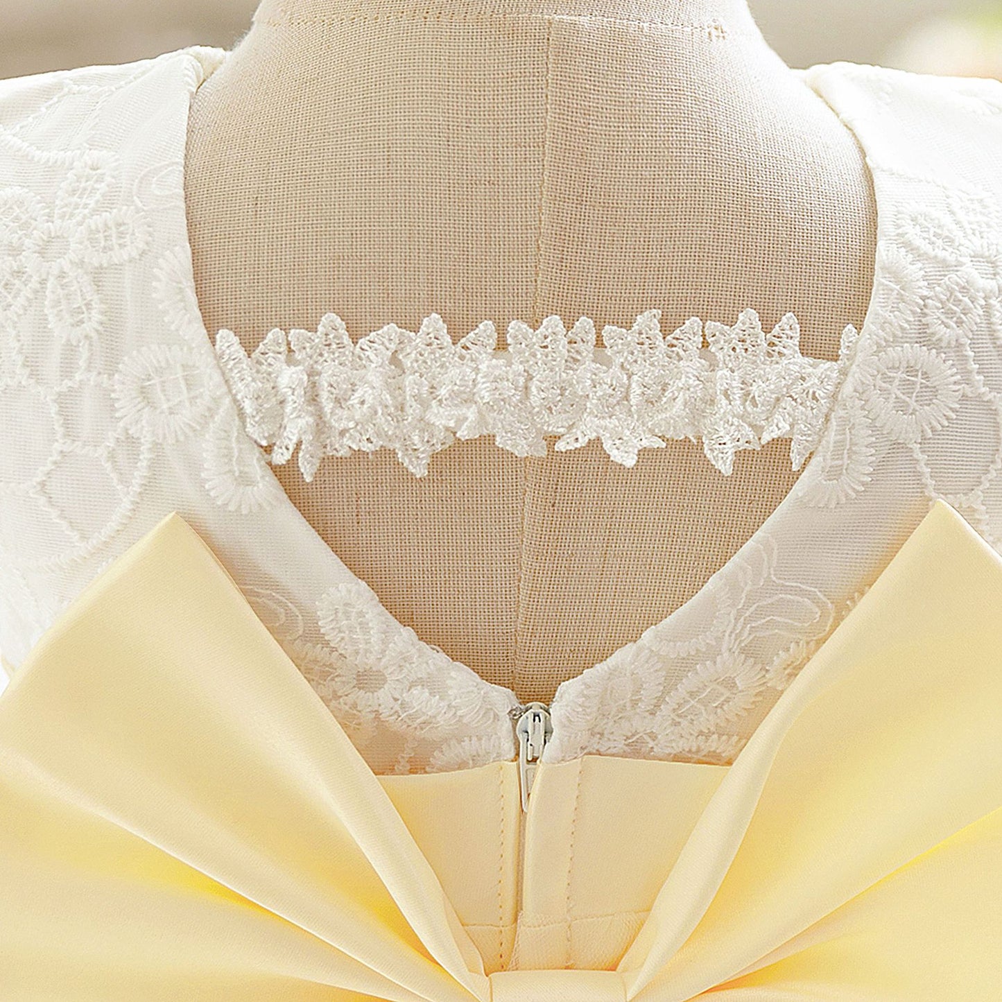 Lace Party Dress and Tulle Skirt