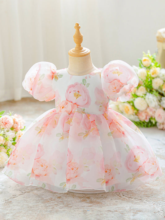 Floral Party Dress for Kids