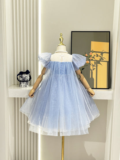 Blue Princess Dress for Kids