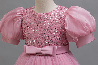 Sparkly Puffy Dress for Children