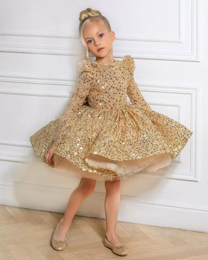Shiny Sequin Party Dress