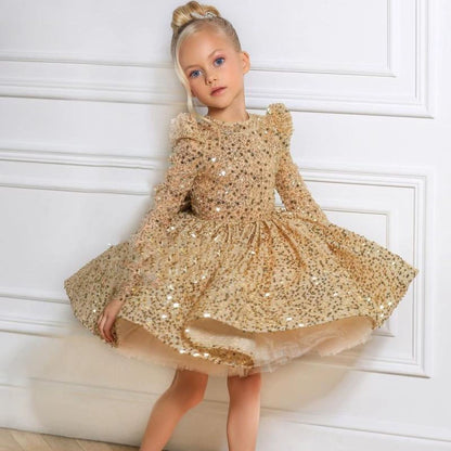 Shiny Sequin Party Dress