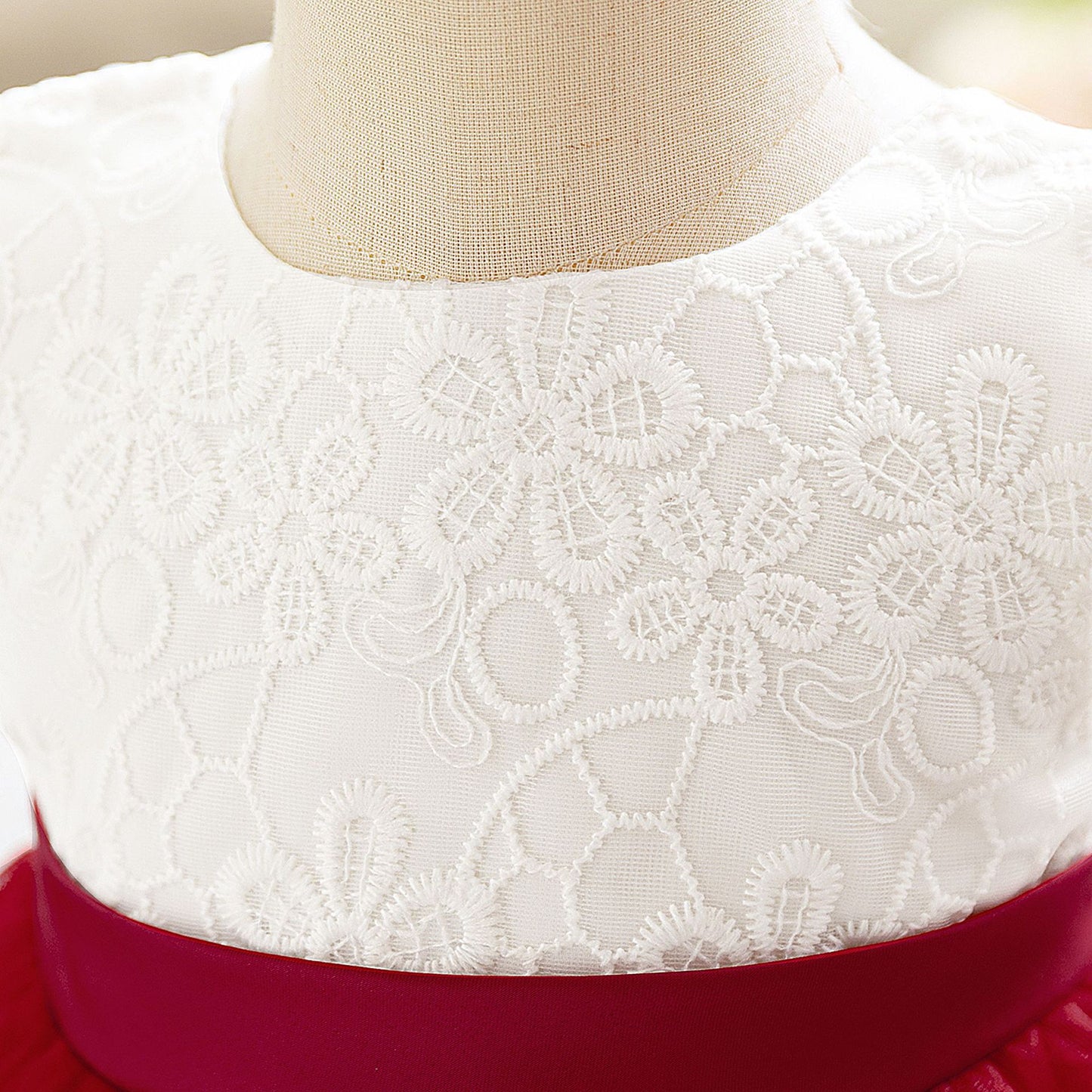 Lace Party Dress and Tulle Skirt