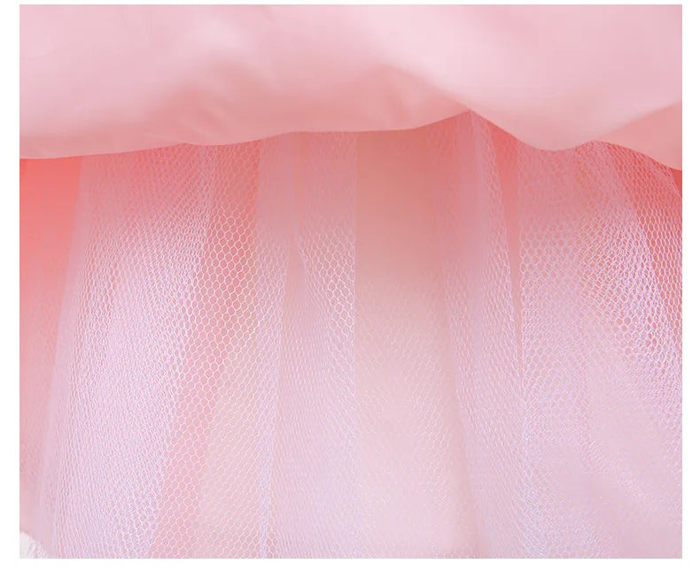 First Birthday Party Fluffy Mesh Tutu Dress