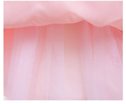 First Birthday Party Fluffy Mesh Tutu Dress