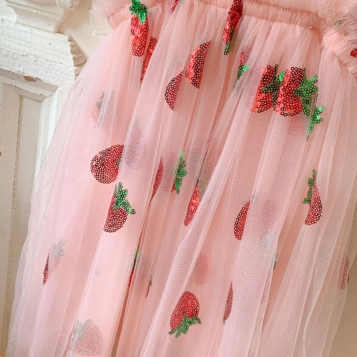 Kids Dress with Wings Embroidered Sleeveless Tulle Gown