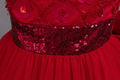 Flower Girl Dress 3D Rose Lace Tulle Sequin Waistband Princess