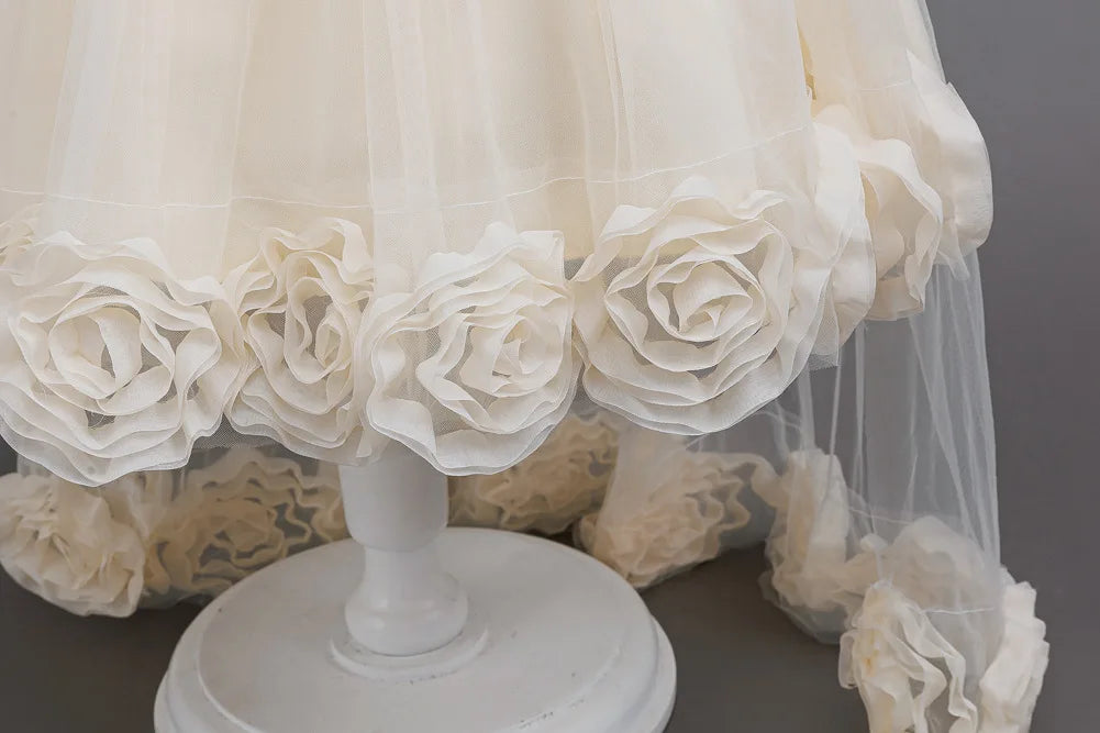 Flower Girl Dress 3D Rose Lace Tulle Sequin Waistband Princess