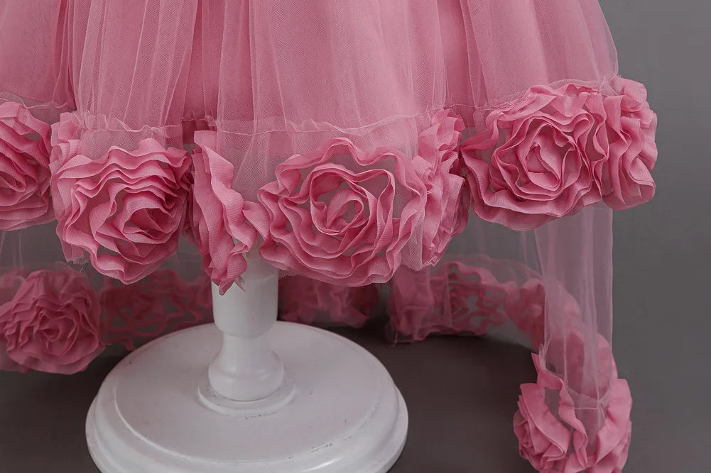 Flower Girl Dress 3D Rose Lace Tulle Sequin Waistband Princess