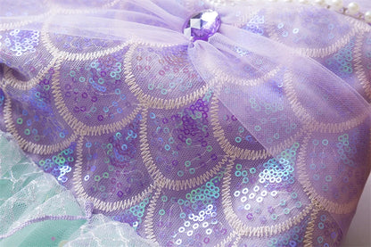 Girl Princess Dresses Performance Costume