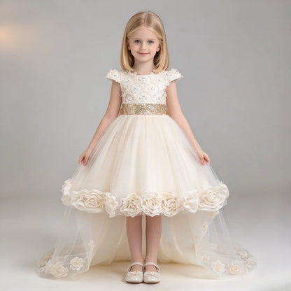 Flower Girl Dress 3D Rose Lace Tulle Sequin Waistband Princess