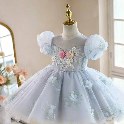 Customized Blue Flower Girl Dress for Wedding Appliques