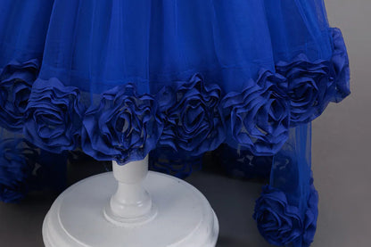 Flower Girl Dress 3D Rose Lace Tulle Sequin Waistband Princess