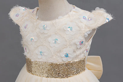 Flower Girl Dress 3D Rose Lace Tulle Sequin Waistband Princess