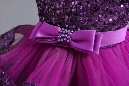 First Birthday Party Fluffy Mesh Tutu Dress