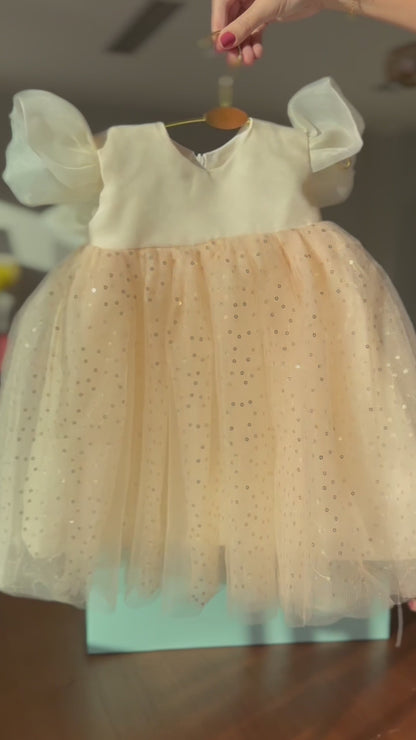 Shiny Lace Children's Party Dress