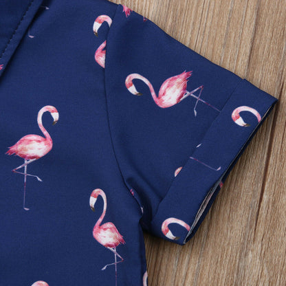 Conjunto de 2 piezas de camiseta y pantalones cortos de flamenco