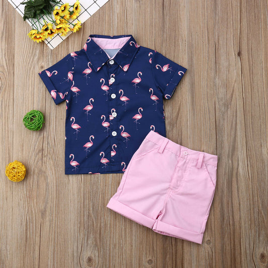 Conjunto de 2 piezas de camiseta y pantalones cortos de flamenco