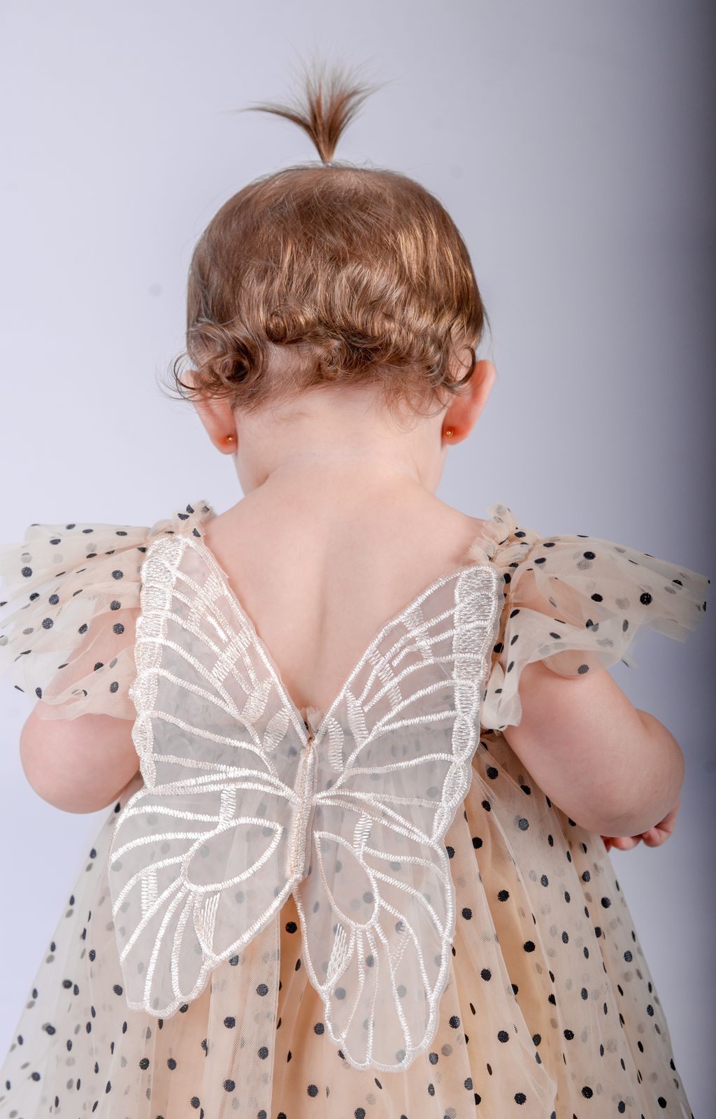 Vestido de princesa mariposa 